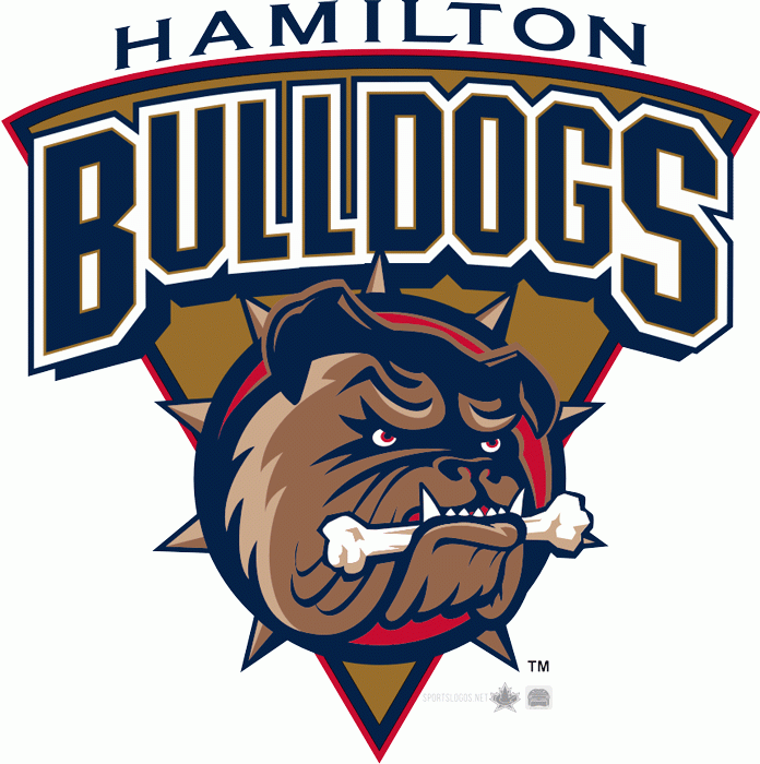 Hamilton Bulldogs 1996 97-2001 02 Secondary Logo iron on transfers for clothing